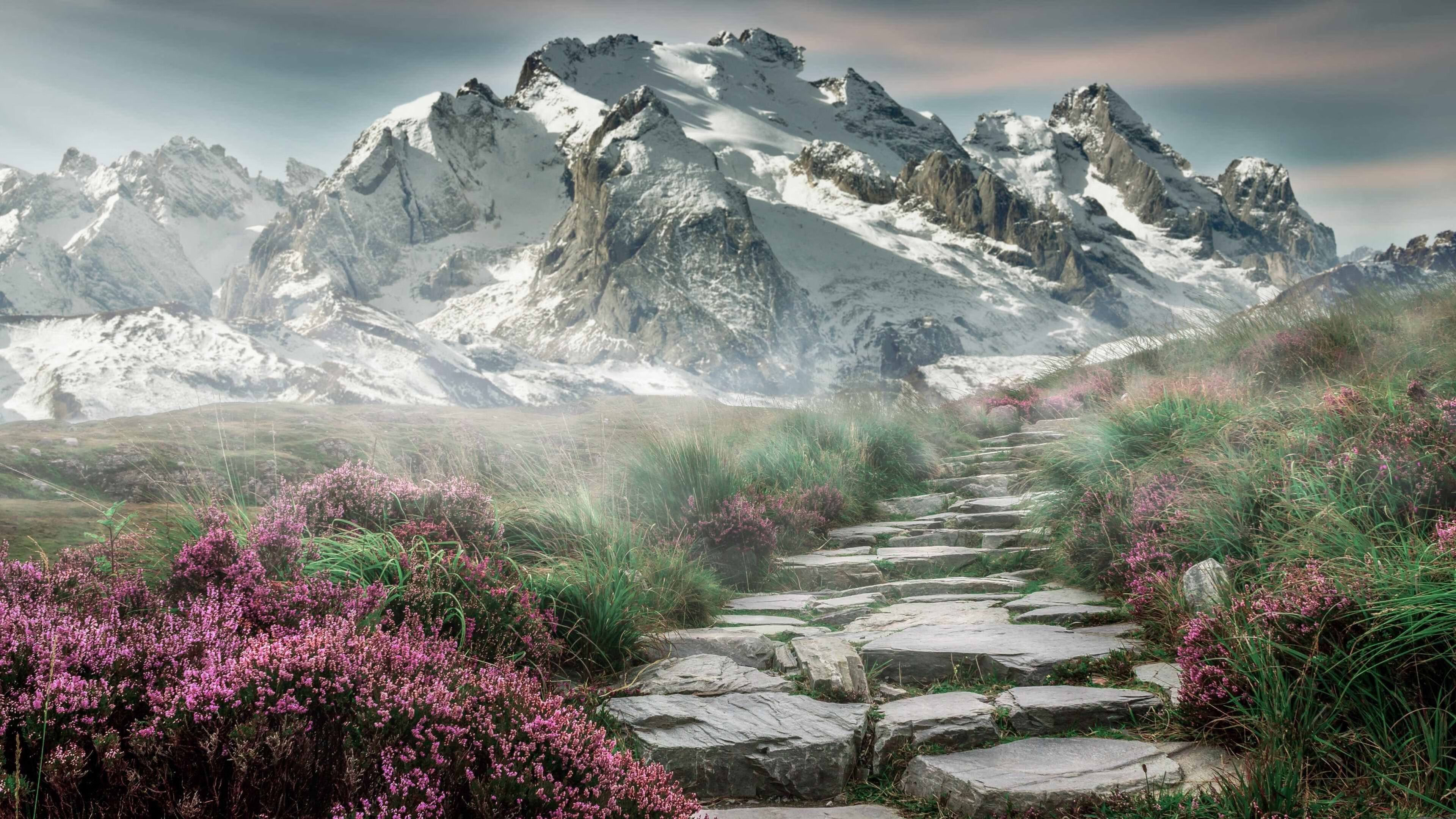 霍勒迪，数字游戏的唯一解，掘金对阵76人的稳定器方程式