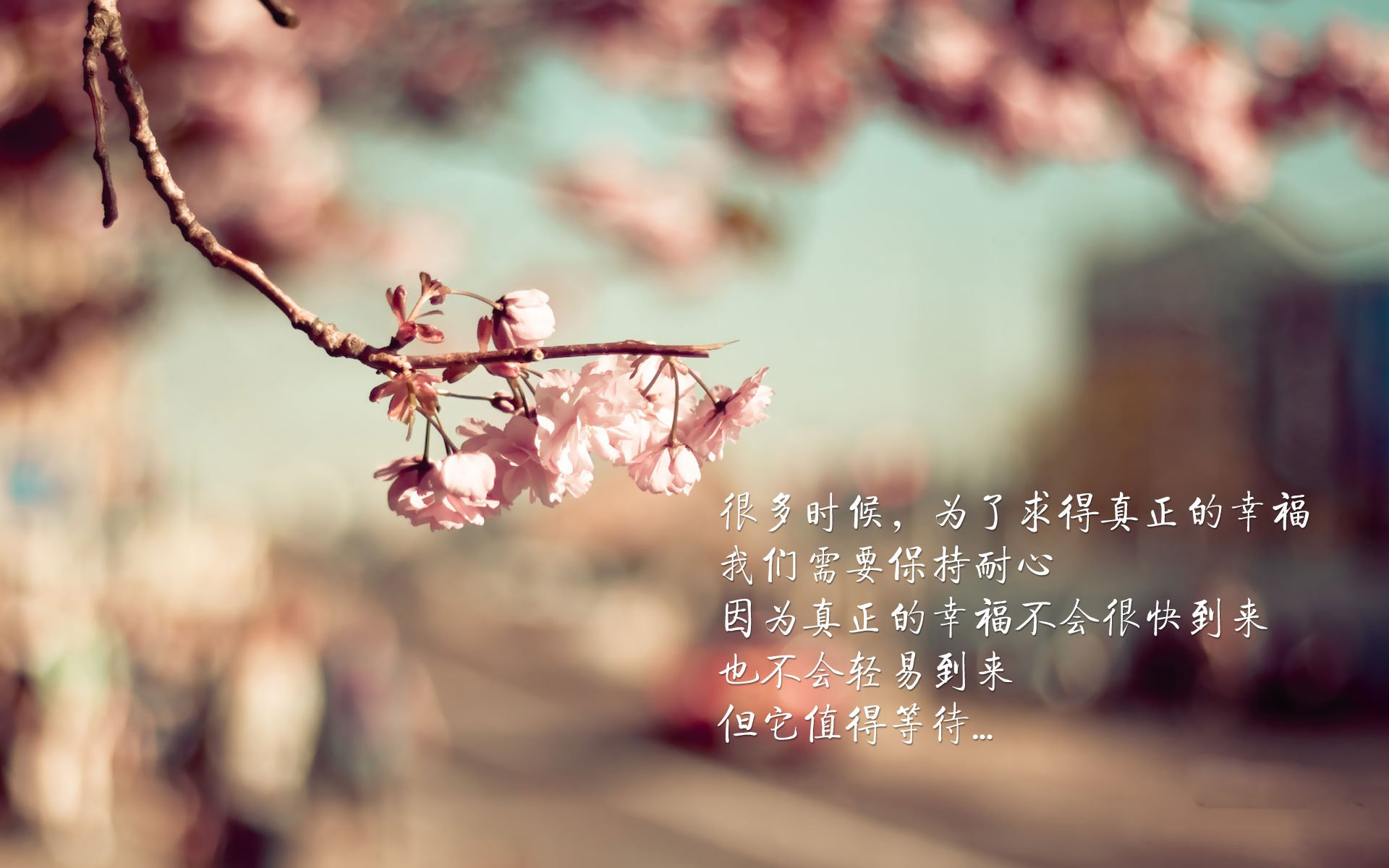 冰封王座，当伦纳德用攻防转换冻结世界排名之夜