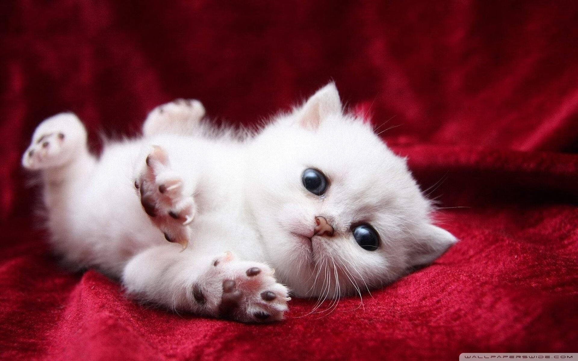 被遗忘的1.8秒，当杜兰特向全联盟证明，为何他仍是那个死神