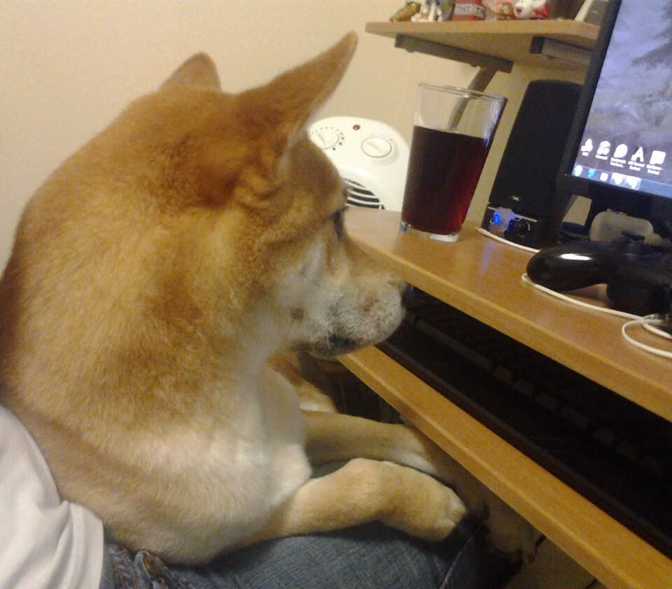 绿茵魔术师,当贝林厄姆在尼斯与沙特的友谊赛中起舞