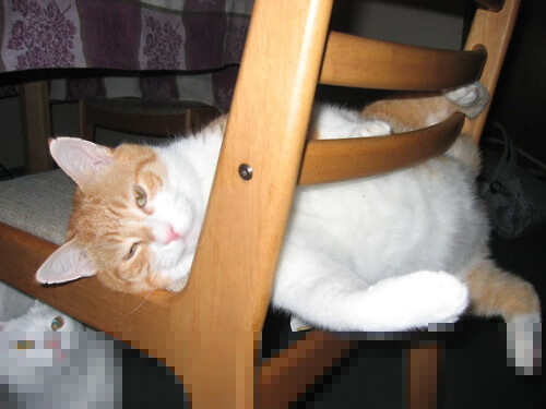 卢卡库节奏大师显威，马德里竞技一波流摧垮切尔西