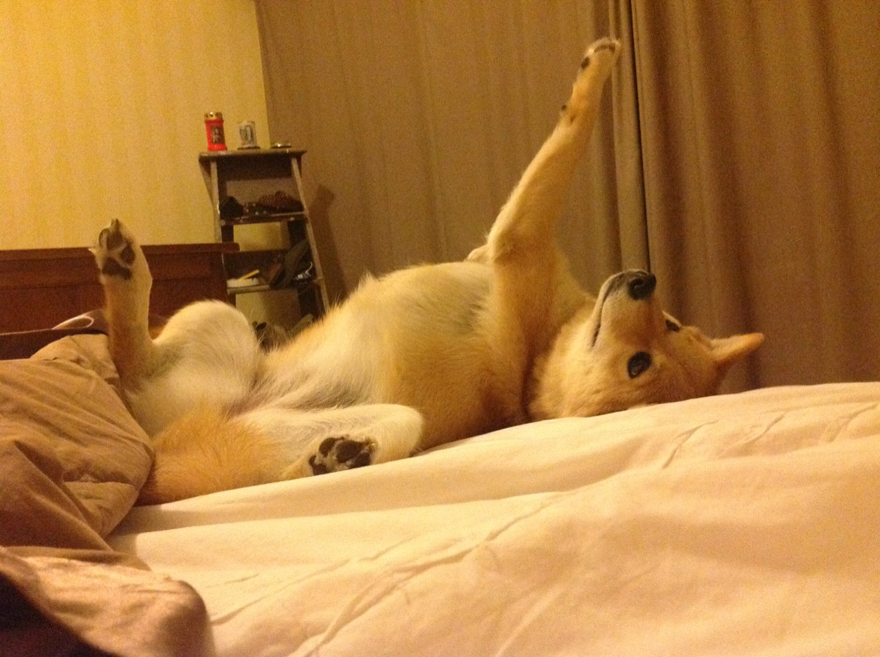 钢铁防线失守？莱奥连击引爆尤文里昂战术博弈迷局