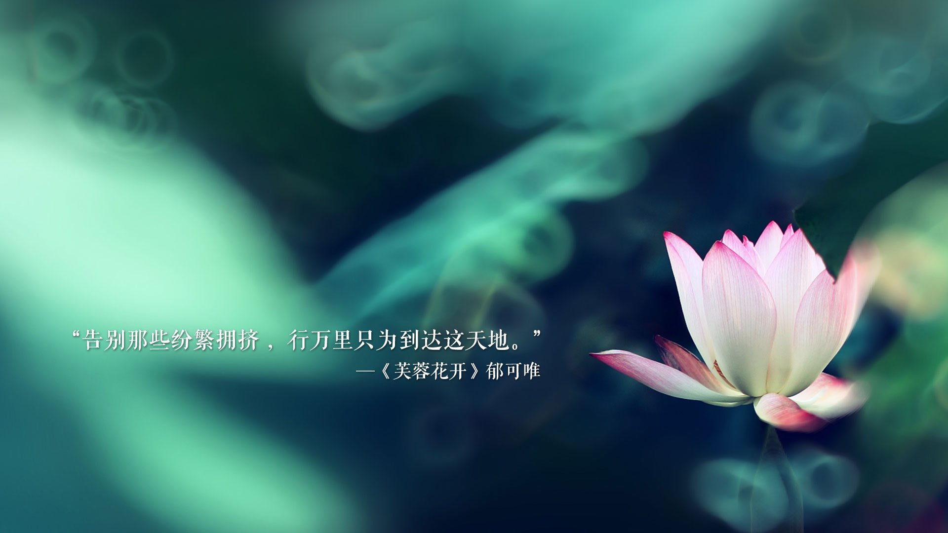 沙漠之鹰啄伤北欧冰狼，2026世界杯D组，阿联酋险胜冰岛，哈兰德独舞却难救主